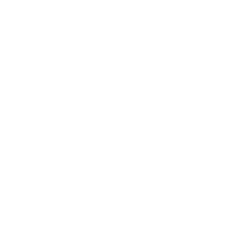 CSS